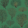 Seafern Emerald by Cole & Son Designer Wallcovering