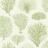 Seafern Soft Green by Cole & Son Designer Wallcovering