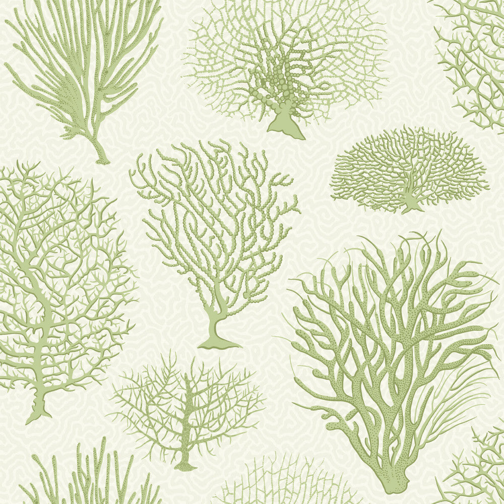 Seafern Soft Green by Cole & Son Designer Wallcovering COLE & SON CURIO PAPER - 100% United Kingdom Horizontal: and Vertical: 20.5 20.5 - Swanky Fabrics -