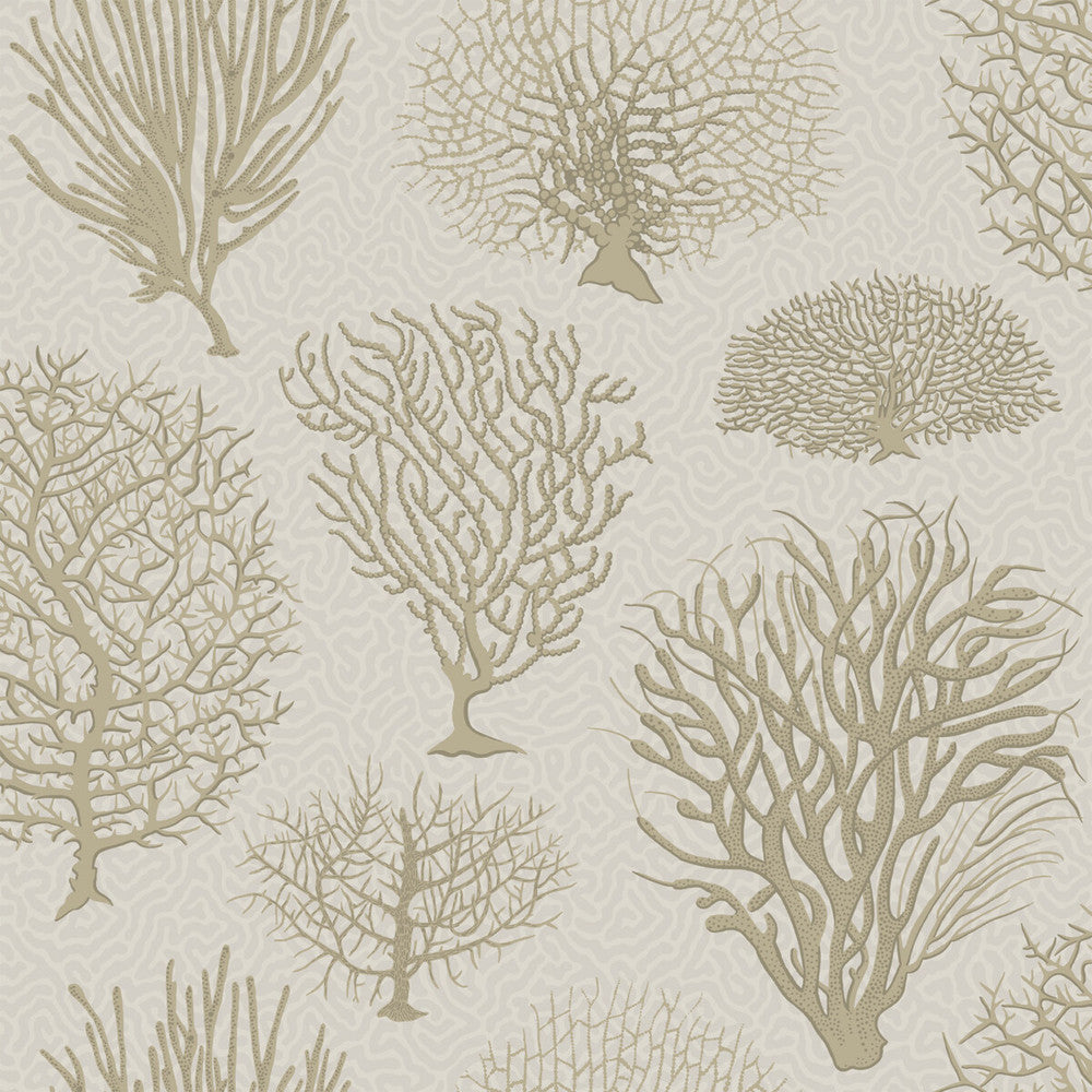 Seafern Stone by Cole & Son Designer Wallcovering COLE & SON CURIO PAPER - 100% United Kingdom - Horizontal: - and Vertical: 20.5 20.5 - Swanky Fabrics -
