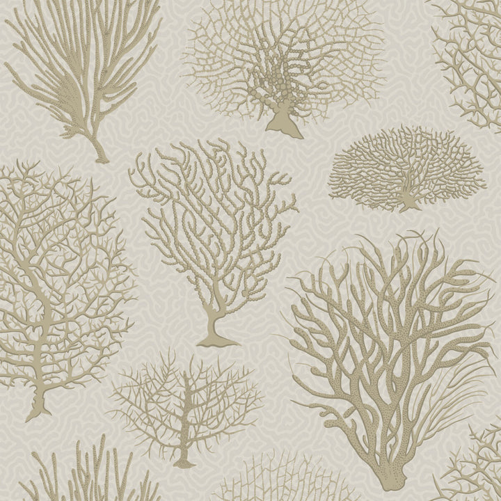 Seafern Stone by Cole & Son Designer Wallcovering COLE & SON CURIO PAPER - 100% United Kingdom - Horizontal: - and Vertical: 20.5 20.5 - Swanky Fabrics -