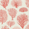 Seafern Coral by Cole & Son Designer Wallcovering