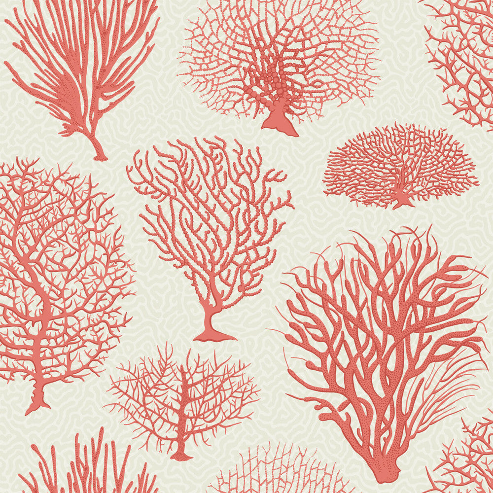 Seafern Coral by Cole & Son Designer Wallcovering COLE & SON CURIO PAPER - 100% United Kingdom Horizontal: and Vertical: 20.5 20.5 - Swanky Fabrics -