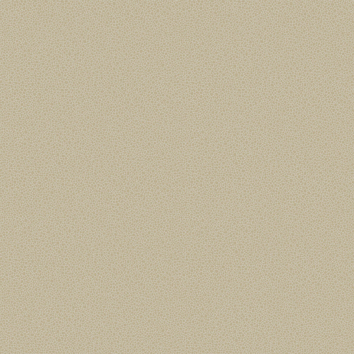 Goldstone Stone & Gilver by Cole & Son Designer Wallcovering COLE & SON CURIO PAPER - 100% United Kingdom Horizontal: and Vertical: 5.1 20.5 - Swanky Fabrics -