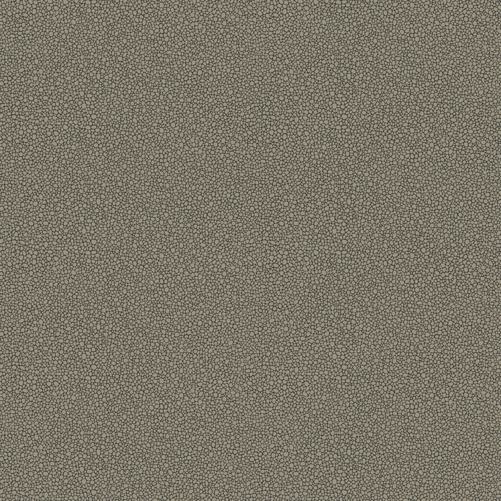Goldstone Black & Silver by Cole & Son Designer Wallcovering COLE & SON CURIO PAPER - 100% United Kingdom Horizontal: and Vertical: 5.1 20.5 - Swanky Fabrics -