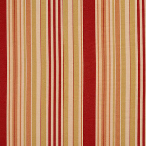 10810-01 by Charlotte Designer Fabric
