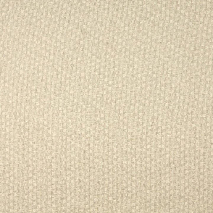 1091 Champagne by Charlotte Designer Fabric Naturally Naturals II 88% Olefin, 12% Polyester Made In USA Exceeds 60,000 Wyzenbeek Rubs (Heavy Duty) Horizontal: 1" x Vertical: 1" 54 Inches - Swanky Fabrics -