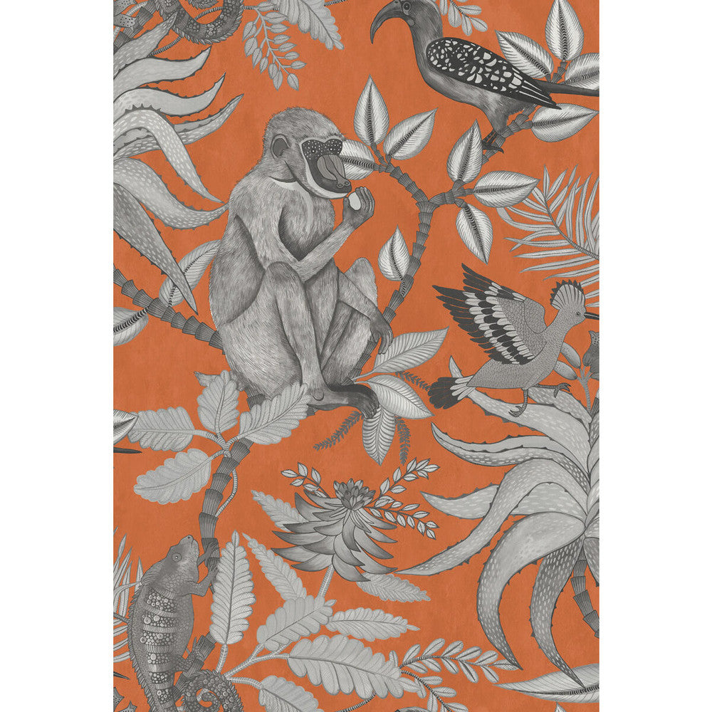 Savuti Orange by Cole & Son Wallcovering Cole & Son Wallcovering Savuti OrangeWallcovering COLE & SON ARDMORE PAPER - 100% United Kingdom </p><p>Repeat: H: 20.5, V: 30 20.5 - Fabric Carolina -