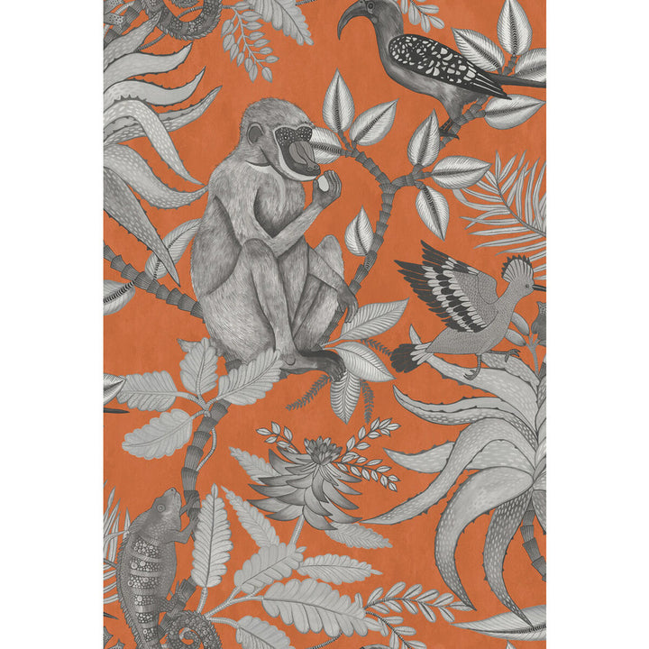 Savuti Orange by Cole & Son Wallcovering Cole & Son Wallcovering Savuti OrangeWallcovering COLE & SON ARDMORE PAPER - 100% United Kingdom </p><p>Repeat: H: 20.5, V: 30 20.5 - Fabric Carolina -