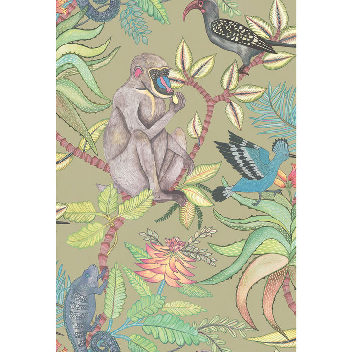 Savuti Khaki Multi by Cole & Son Wallcovering Cole & Son Wallcovering Savuti Khaki MultiWallcovering COLE & SON ARDMORE PAPER - 100% United Kingdom </p><p>Repeat: H: 20.5, V: 30 20.5 - Fabric Carolina -