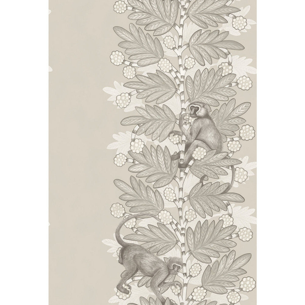 Acacia Stone & White Berries by Cole & Son Wallcovering Cole & Son Wallcovering Acacia Stone & White BerriesWallcovering COLE & SON ARDMORE PAPER - 100% United Kingdom </p><p>Repeat: H: , V: 30 20.5 - Fabric Carolina -