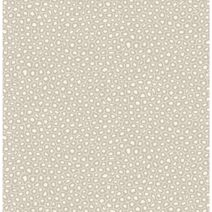 Senzo Spot Stone & White by Cole & Son Designer Wallcovering COLE & SON ARDMORE PAPER - 100% United Kingdom - Horizontal: - and Vertical: 10.4 20.5 - Swanky Fabrics -