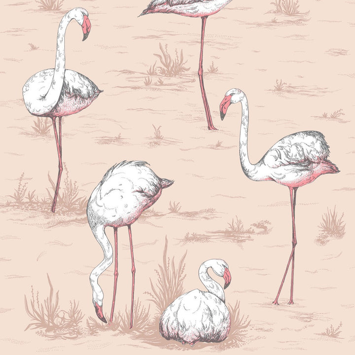 Flamingos Plaster Pink by Cole & Son Wallcovering Cole & Son Wallcovering Flamingos Plaster PinkWallcovering COLE & SON ICONS PAPER - 100% United Kingdom </p><p>Repeat: H: , V: 27.5 21 - Fabric Carolina -