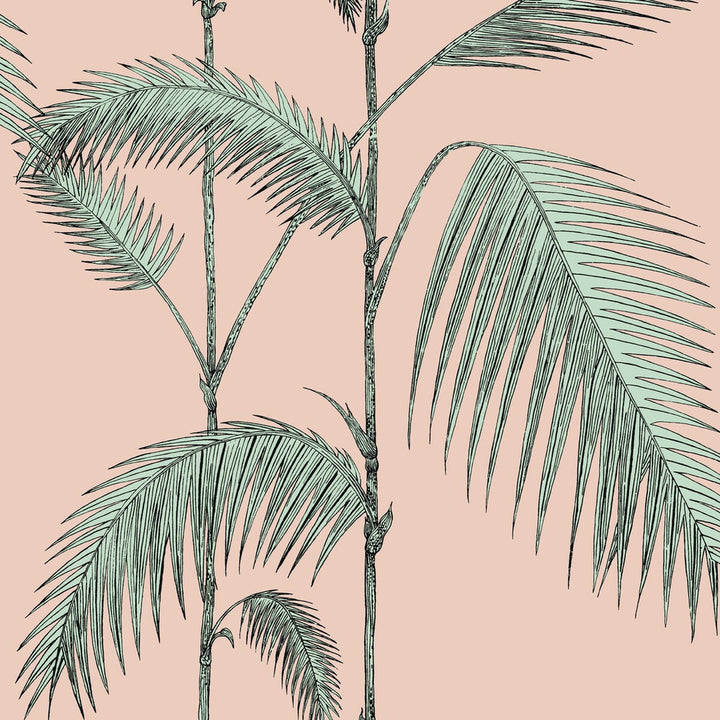 Palm Leaves Plaster Pink/Mint by Cole & Son Wallcovering Cole & Son Wallcovering Palm Leaves Plaster Pink/MintWallcovering COLE & SON ICONS PAPER - 100% United Kingdom </p><p>Repeat: H: , V: 28.3 20.5 - Fabric Carolina -