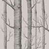 Woods Linen/Charcoal by Cole & Son Designer Wallcovering