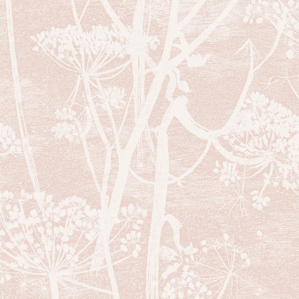 Cow Parsley Plaster Pink by Cole & Son Designer Wallcovering COLE & SON ICONS PAPER - 100% United Kingdom Horizontal: and Vertical: 30 21 - Swanky Fabrics -
