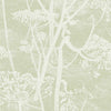 Cow Parsley Olive by Cole & Son Designer Wallcovering