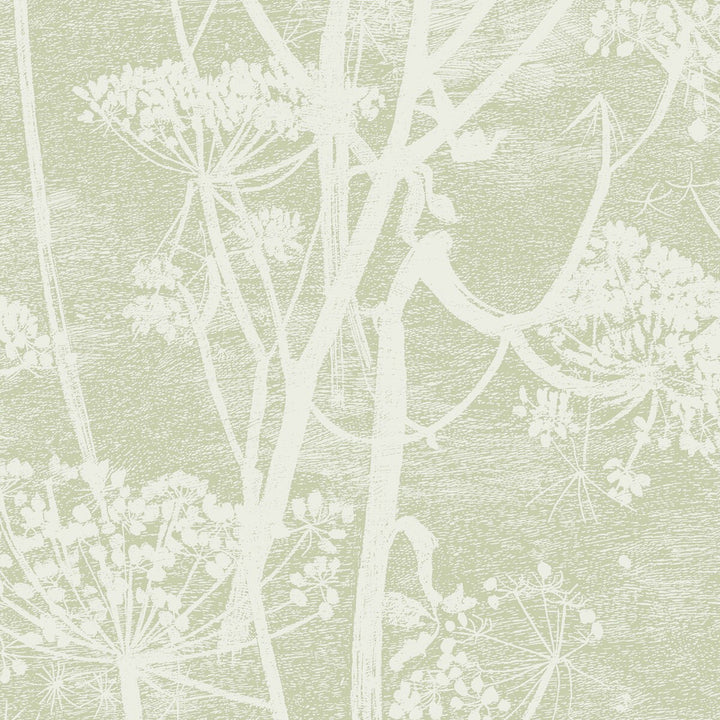 Cow Parsley Olive by Cole & Son Wallcovering Cole & Son Wallcovering Cow Parsley OliveWallcovering COLE & SON ICONS PAPER - 100% United Kingdom </p><p>Repeat: H: , V: 30 21 - Fabric Carolina -