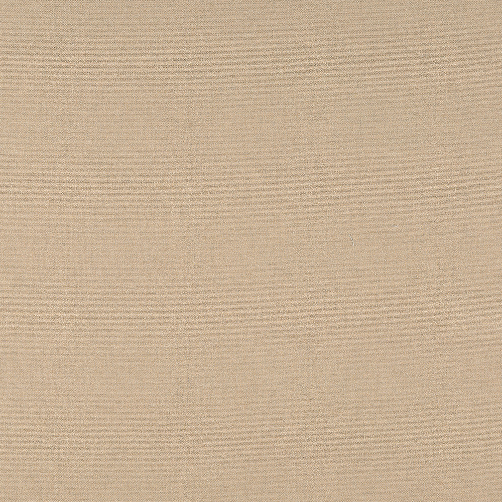 Nuance Sand 400000-0003 by Sunbrella Designer Fabric 99% Sunbrella® Acrylic, 1% Sunbrella® Polyester 62500 Horizontal: and Vertical: 54 in. - Swanky Fabrics -