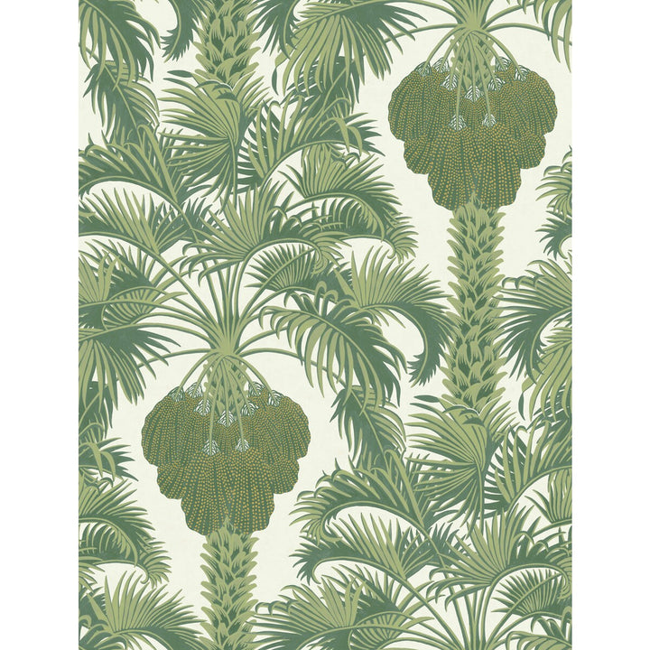 Hollywood Palm Leaf Green by Cole & Son Wallcovering Cole & Son Wallcovering Hollywood Palm Leaf GreenWallcovering COLE & SON MARTYN LAWRENCE BULLARD PAPER - 100% United Kingdom </p><p>Repeat: H: , V: 27 20.5 - Fabric Carolina -