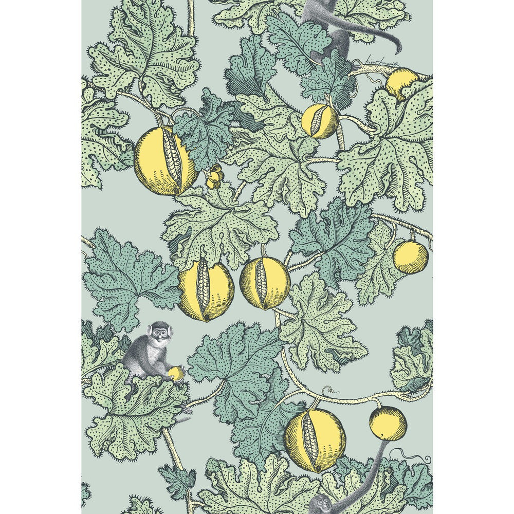 Frutto Proibito Seafoam & Lemon by Cole & Son Designer Wallcovering COLE & SON FORNASETTI PAPER - 100% United Kingdom Horizontal: and Vertical: 30 20.5 - Swanky Fabrics -