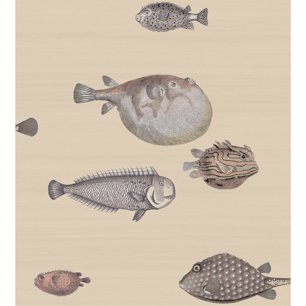 Acquario Taupe by Cole & Son Designer Wallcovering COLE & SON FORNASETTI SENZA TEMPO PAPER - 100% United Kingdom Horizontal: 27 and Vertical: 30 27 - Swanky Fabrics -