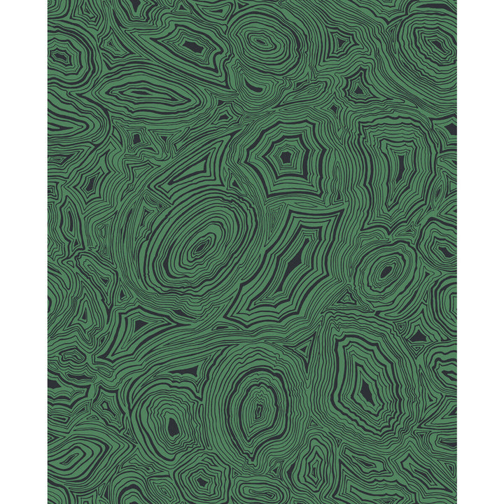 Malachite Emerald/Black by Cole & Son Designer Wallcovering COLE & SON FORNASETTI SENZA TEMPO PAPER - 100% United Kingdom Horizontal: 20.5 and Vertical: 25.2 20.5 - Swanky Fabrics -