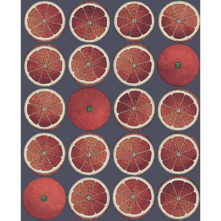 Arance Blood Orange/Ink by Cole & Son Designer Wallcovering COLE & SON FORNASETTI SENZA TEMPO PAPER - 100% United Kingdom Horizontal: 20.5 and Vertical: 25.2 20.5 - Swanky Fabrics -