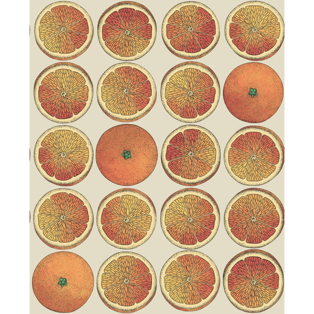 Arance Orange/Cream by Cole & Son Designer Wallcovering COLE & SON FORNASETTI SENZA TEMPO PAPER - 100% United Kingdom - Horizontal: 20.5 and Vertical: 25.2 20.5 - Swanky Fabrics -
