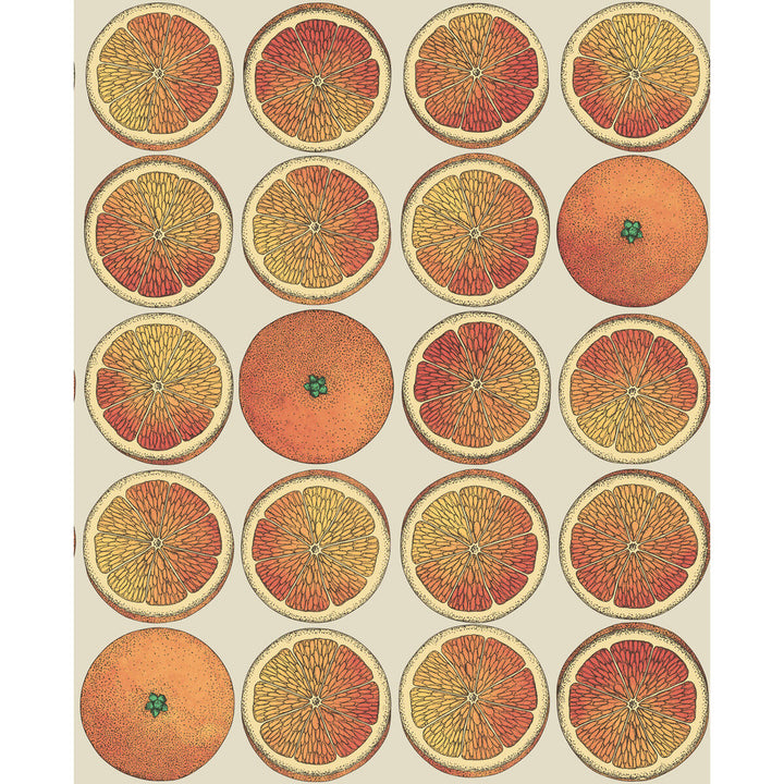 Arance Orange/Cream by Cole & Son Designer Wallcovering COLE & SON FORNASETTI SENZA TEMPO PAPER - 100% United Kingdom - Horizontal: 20.5 and Vertical: 25.2 20.5 - Swanky Fabrics -