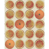 Arance Orange/Cream by Cole & Son Designer Wallcovering