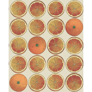 Arance Orange/Cream by Cole & Son Designer Wallcovering