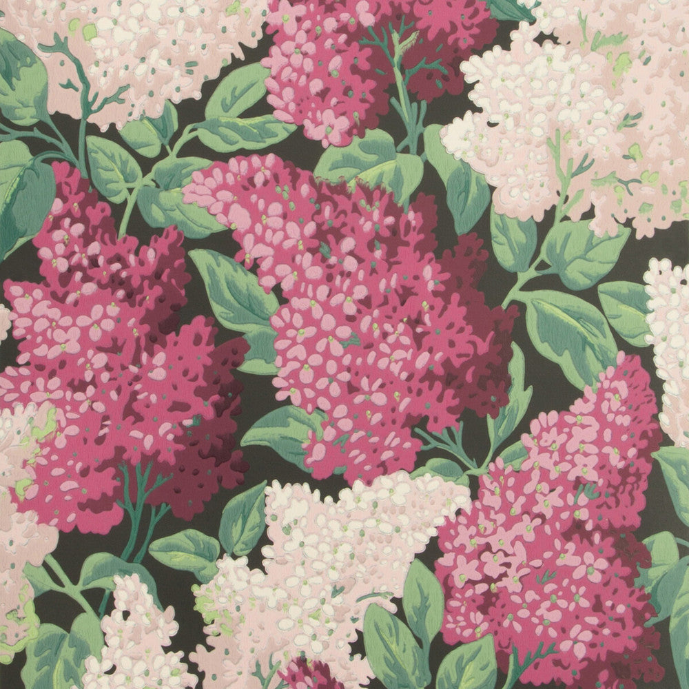 Lilac Magenta/Blush/Charco by Cole & Son Designer Wallcovering COLE & SON BOTANICAL BOTANICA PAPER - 100% United Kingdom - Horizontal: 20.5 and Vertical: 25.2 20.5 - Swanky Fabrics -