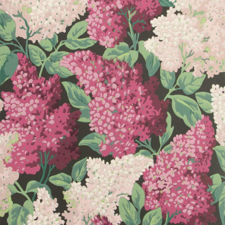 Lilac Magenta/Blush/Charco by Cole & Son Designer Wallcovering COLE & SON BOTANICAL BOTANICA PAPER - 100% United Kingdom - Horizontal: 20.5 and Vertical: 25.2 20.5 - Swanky Fabrics -