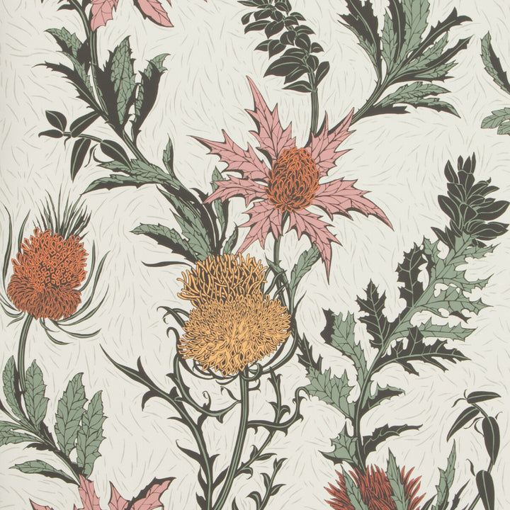 Thistle A Pink/Orange/Parch by Cole & Son Designer Wallcovering COLE & SON BOTANICAL BOTANICA PAPER - 100% United Kingdom Horizontal: and Vertical: 25.2 20.5 - Swanky Fabrics -