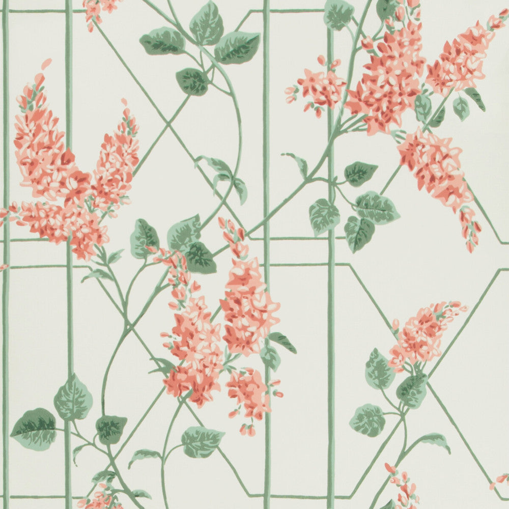 Wisteria Coral/Sage/Parch by Cole & Son Designer Wallcovering COLE & SON BOTANICAL BOTANICA PAPER - 100% United Kingdom - Horizontal: 20.5 and Vertical: 20.5 20.5 - Swanky Fabrics -