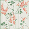 Wisteria Coral/Sage/Parch by Cole & Son Designer Wallcovering