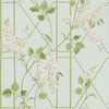 Wisteria Stone/Olive/D Egg by Cole & Son Designer Wallcovering
