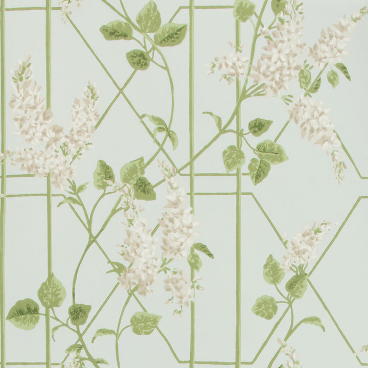 Wisteria Stone/Olive/D Egg by Cole & Son Wallcovering Cole & Son Wallcovering Wisteria Stone/Olive/D EggWallcovering COLE & SON BOTANICAL BOTANICA PAPER - 100% United Kingdom </p><p>Repeat: H: 20.5, V: 20.5 20.5 - Fabric Carolina -