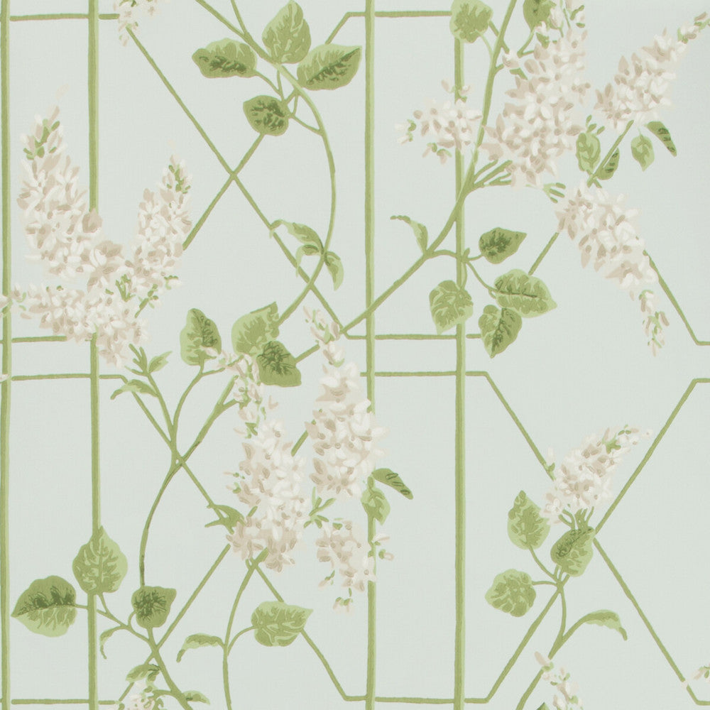 Wisteria Stone/Olive/D Egg by Cole & Son Designer Wallcovering COLE & SON BOTANICAL BOTANICA PAPER - 100% United Kingdom Horizontal: 20.5 and Vertical: 20.5 20.5 - Swanky Fabrics -