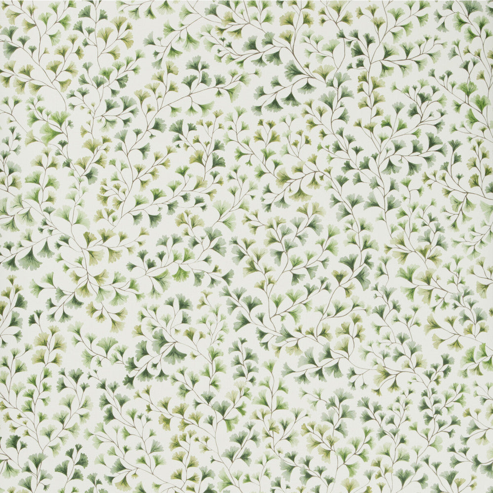 Maidenhair Olive by Cole & Son Wallcovering Cole & Son Wallcovering Maidenhair OliveWallcovering COLE & SON BOTANICAL BOTANICA PAPER - 100% United Kingdom </p><p>Repeat: H: , V: 20.5 20.5 - Fabric Carolina -