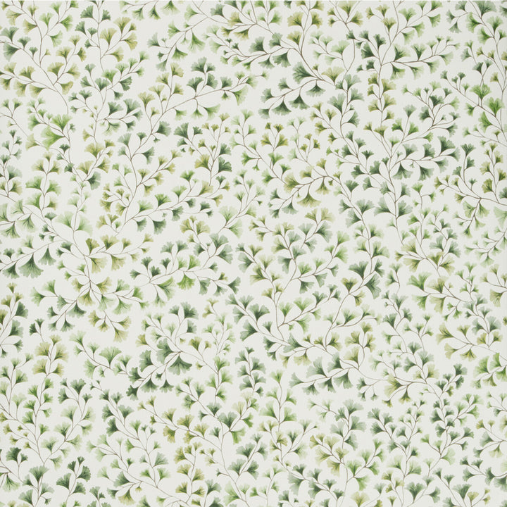 Maidenhair Olive by Cole & Son Designer Wallcovering COLE & SON BOTANICAL BOTANICA PAPER - 100% United Kingdom Horizontal: and Vertical: 20.5 20.5 - Swanky Fabrics -