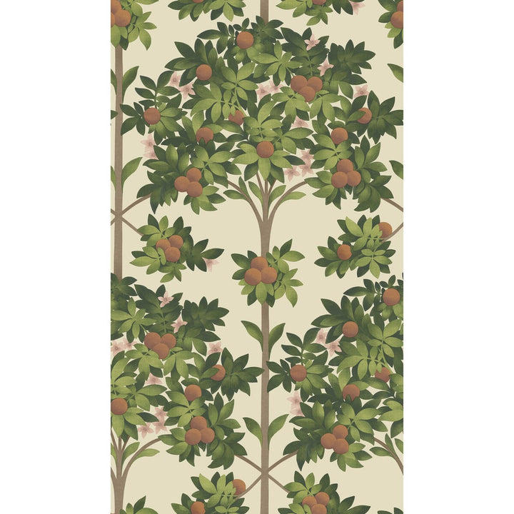 Orange Blossom Orange & Spring Green/Parch by Cole & Son Wallcovering Cole & Son Wallcovering Orange Blossom Orange & Spring Green/ParchWallcovering COLE & SON SEVILLE NON WOVEN - 100% United Kingdom </p><p>Repeat: H: 20.5, V: 35.9 20.5 - Fabric Carolina -