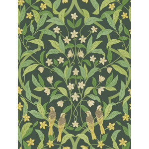 Jasmine & Serin Symphony Yellow/Grn/Forest by Cole & Son Designer Wallcovering