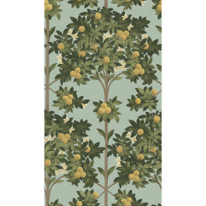 Orange Blossom Lemon/Dk Olive Grn/Duck Egg by Cole & Son Designer Wallcovering