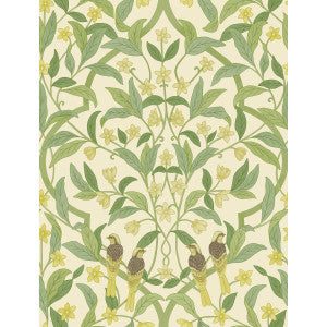 Jasmine & Serin Symphony Chartreuse/Grn/Wt by Cole & Son Designer Wallcovering