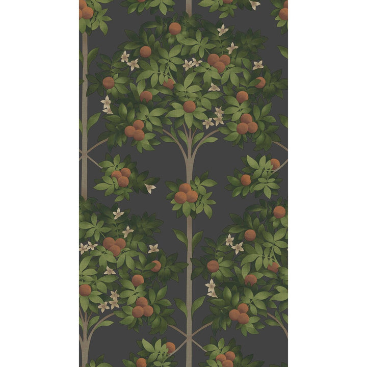 Orange Blossom Orange & Spring Green/Black by Cole & Son Wallcovering Cole & Son Wallcovering Orange Blossom Orange & Spring Green/BlackWallcovering COLE & SON SEVILLE NON WOVEN - 100% United Kingdom </p><p>Repeat: H: 20.5, V: 35.9 20.5 - Fabric Carolina -