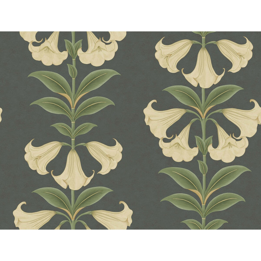 Angels Trumpet Cream/Olive Green/Charcoal by Cole & Son Designer Wallcovering COLE & SON SEVILLE NON WOVEN - 100% United Kingdom Horizontal: 27 and Vertical: 20.5 27 - Swanky Fabrics -