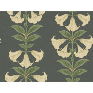 Angels Trumpet Cream/Olive Green/Charcoal by Cole & Son Designer Wallcovering