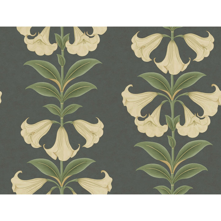 Angels Trumpet Cream/Olive Green/Charcoal by Cole & Son Wallcovering Cole & Son Wallcovering Angels Trumpet Cream/Olive Green/CharcoalWallcovering COLE & SON SEVILLE NON WOVEN - 100% United Kingdom </p><p>Repeat: H: 27, V: 20.5 27 - Fabric Carolina -